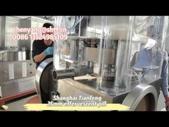 ZP17B machine à comprimés effervescents pour cubes de poulet