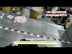 Presse à comprimés pour médicaments vétérinaires pour animaux, lave-vaisselle à 3 couches, 100KN, comprimés