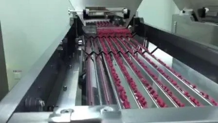 Ligne de production de remplissage de flacons pharmaceutiques haute vitesse 380V avec garantie d'un an pour flacons de 60 ml, 80 ml et 100 ml