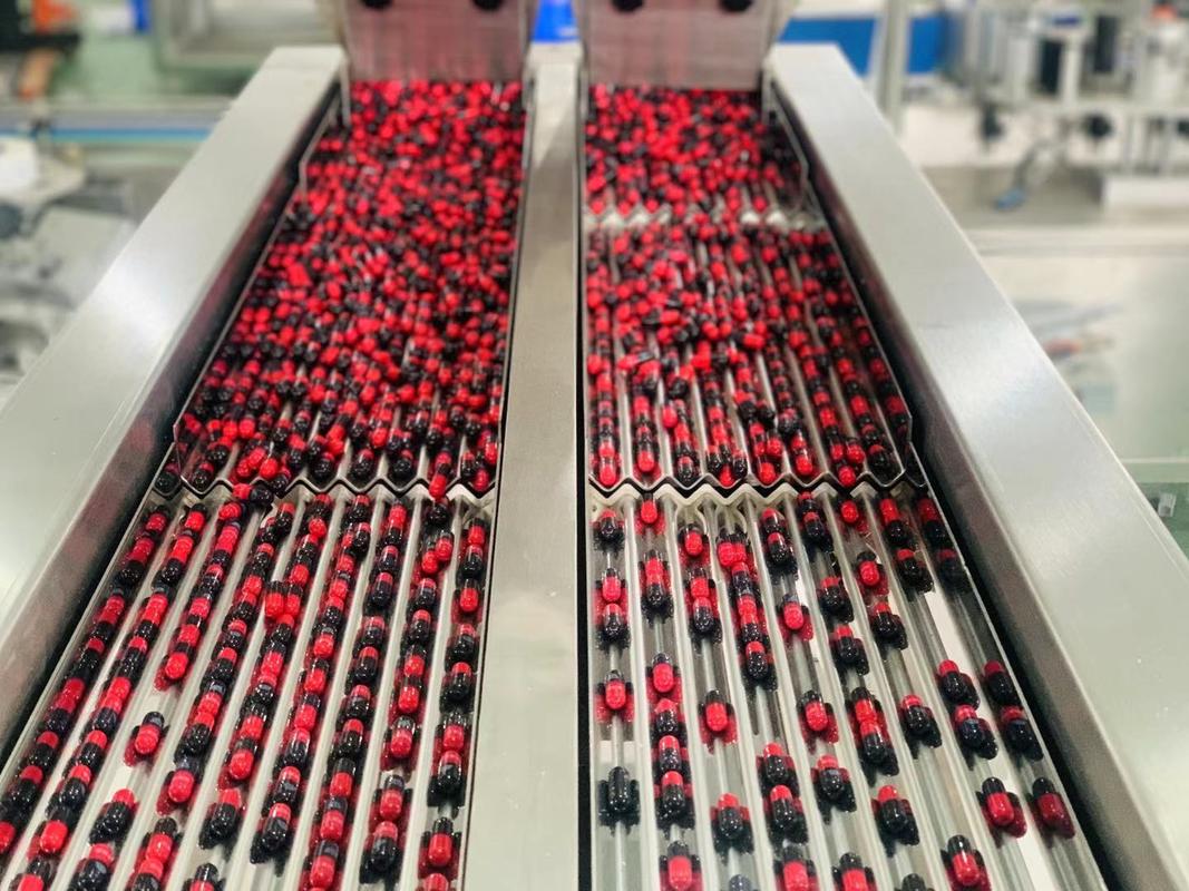 Machine de comptage et de remplissage de capacité de 10 à 120 bouteilles/minute Poids de machine kg 320